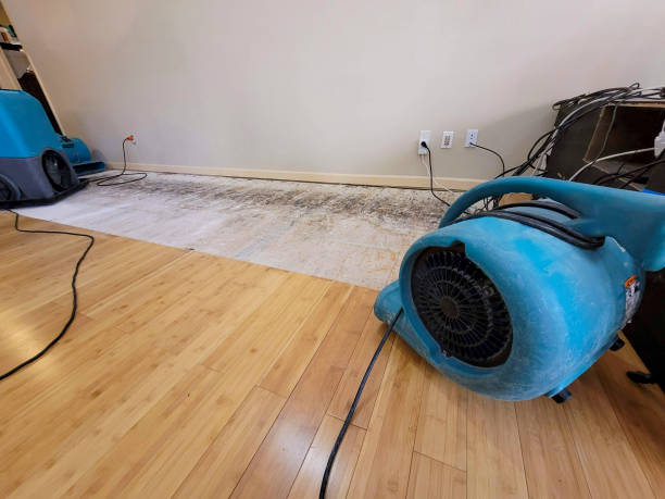 Professional Ceiling Water Damage Repair technician working in Fairview, UT